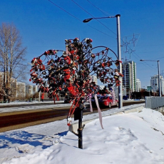 Дерево любви на ул. Орджоникидзе. Утрачено. Фото - А. Завора