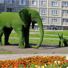 Проспект Авиаторов 