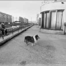 Улица Франкфурта, 1984. Фото - С. Косолапов