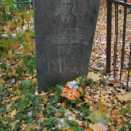 В. Оленик, памятник на могиле