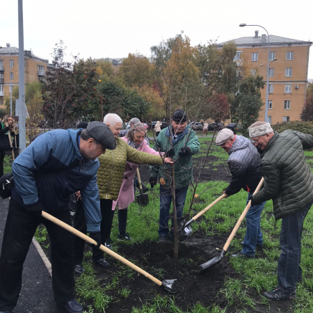 Головин Владимир Васильевич
